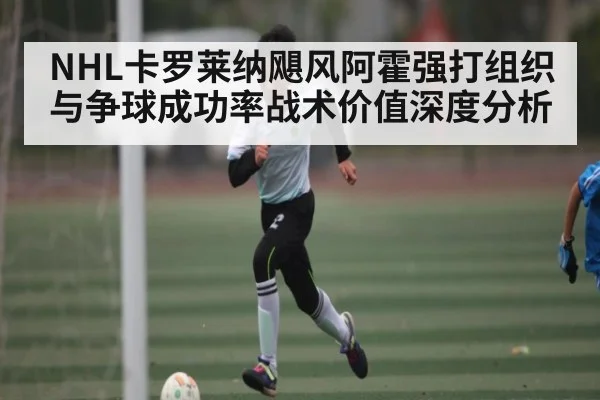 NHL卡罗莱纳飓风阿霍强打组织与争球成功率战术价值深度分析 | c7c7